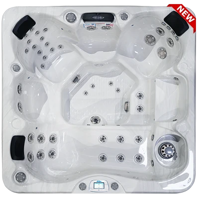 Avalon-X EC-849LX hot tubs for sale in Lakeland