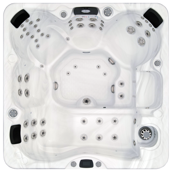 Avalon-X EC-867LX hot tubs for sale in Lakeland